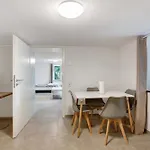 Ferienapartments Ariana Apartment