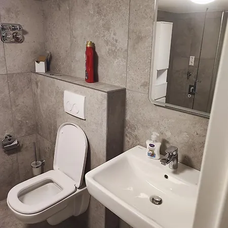 Ferienapartments Ariana * 巴特塞京根