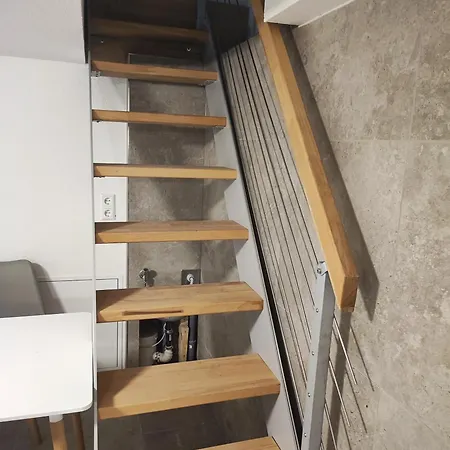 Ferienapartments Ariana Apartment Bad Sackingen
