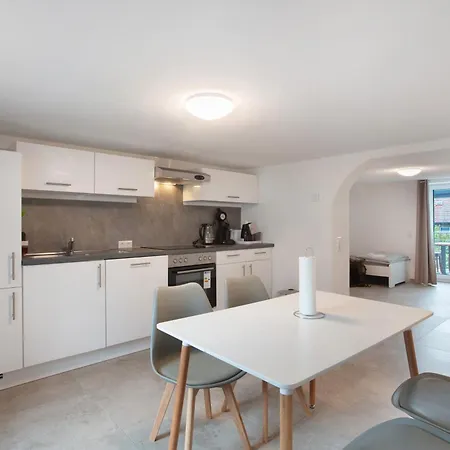 公寓 Ferienapartments Ariana 巴特塞京根