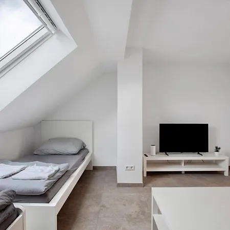 Apartment Ferienapartments Ariana Bad Säckingen